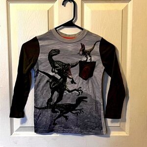 Jurassic World Boys XS 4/5 Long Sleeve Graphic T Shirt Velociraptor Dinosaurs